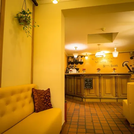 Hotel Flandria Centrum *