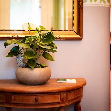 Hotel Flandria Centrum