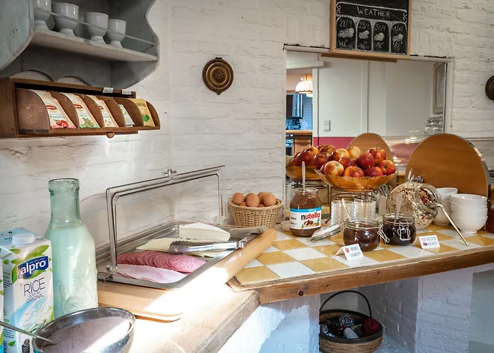 Отель Flandria Centrum *